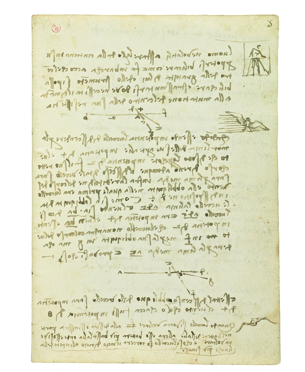 Codex on the flight of birds, Folio 5 recto av Leonardo da Vinci