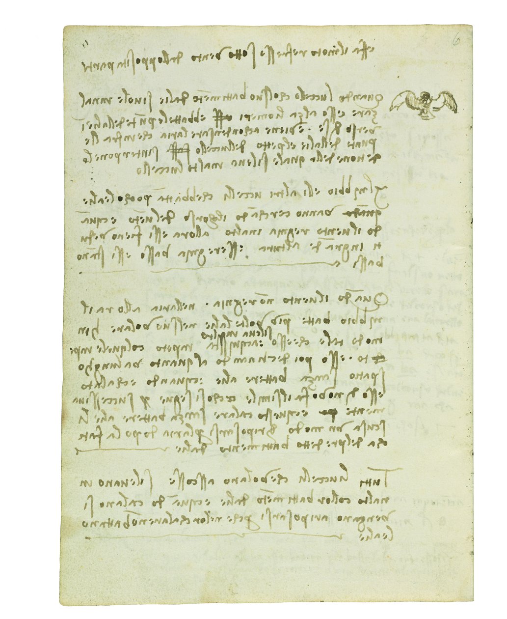 Codex on the flight of birds, Folio 5 verso av Leonardo da Vinci