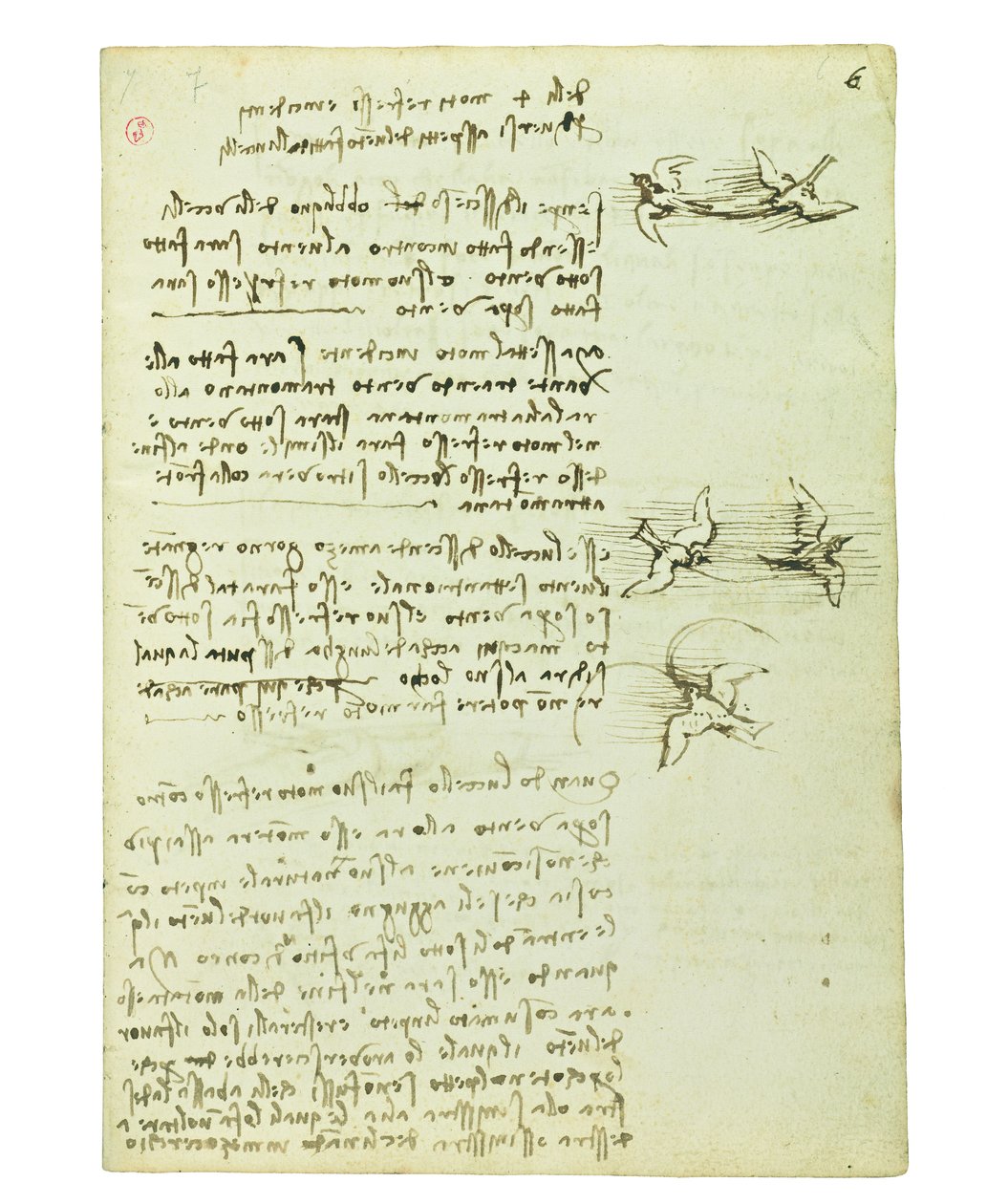 Codex on the flight of birds, Folio 6 recto av Leonardo da Vinci