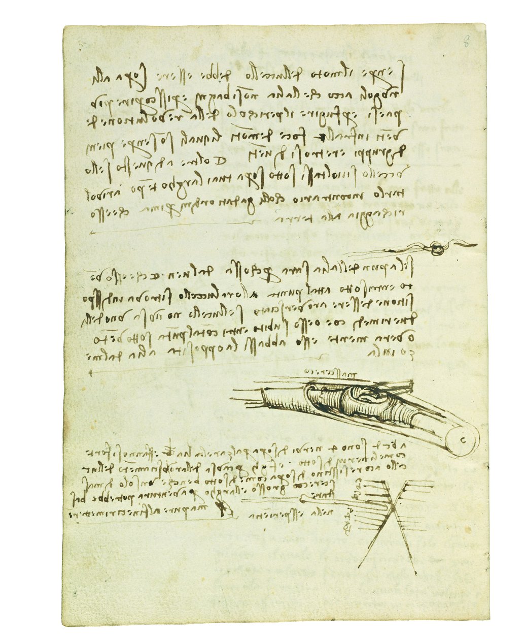 Codex on the flight of birds, Folio 6 verso av Leonardo da Vinci