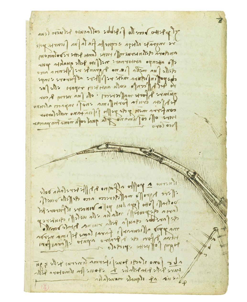 Codex on the flight of birds, Folio 7 recto av Leonardo da Vinci