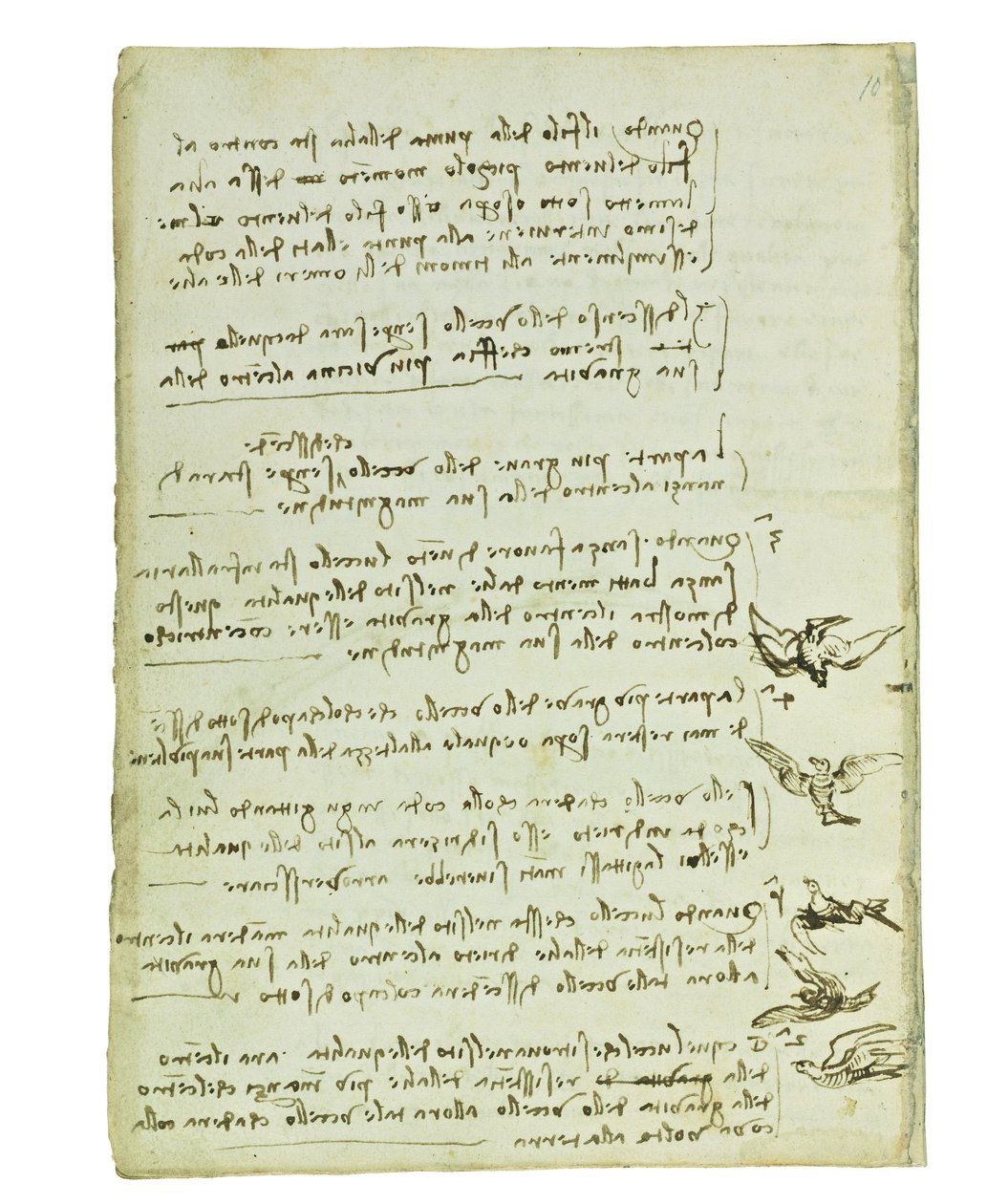 Codex on the flight of birds, Folio 7 verso av Leonardo da Vinci