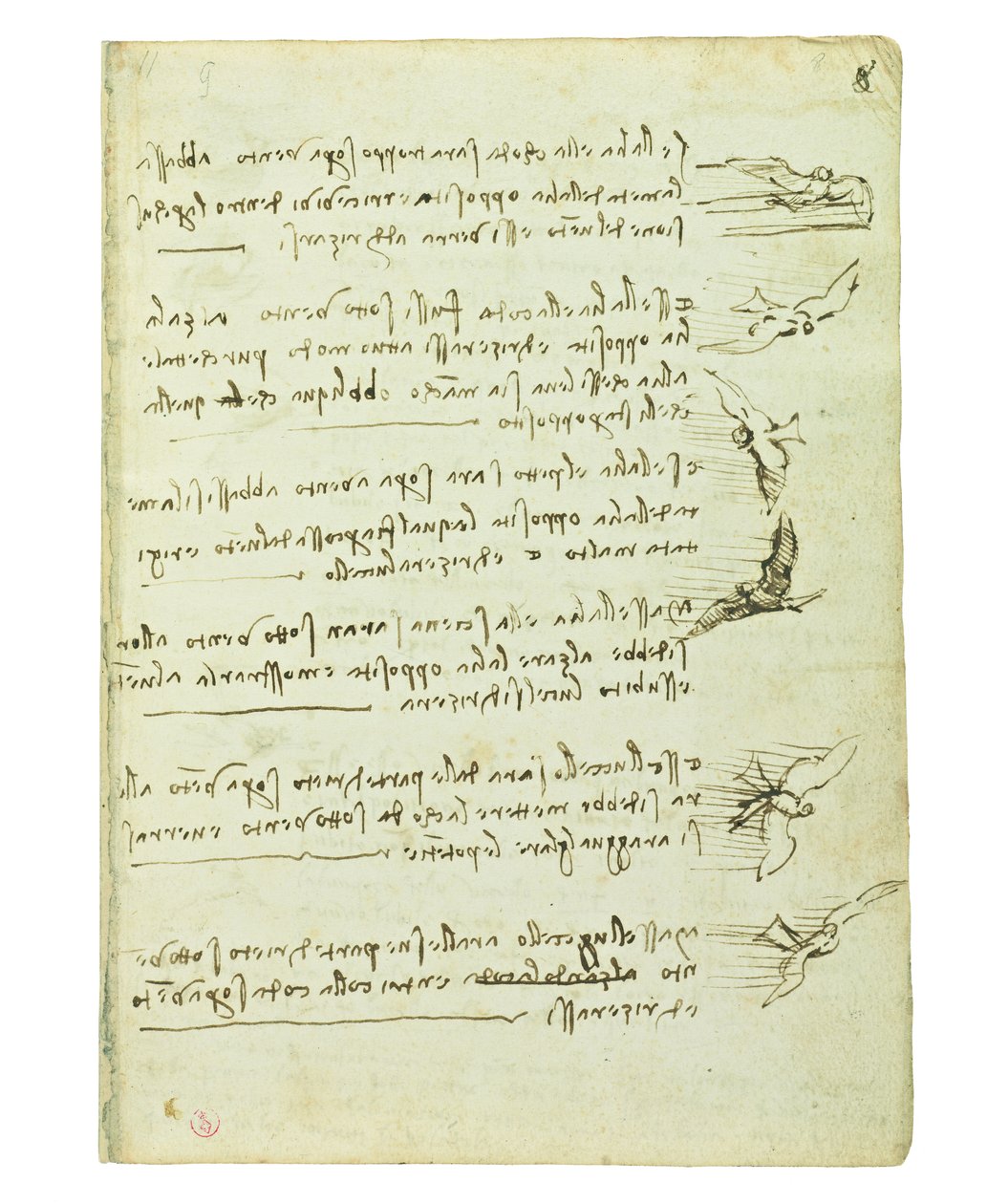 Codex on the flight of birds, Folio 8 recto av Leonardo da Vinci