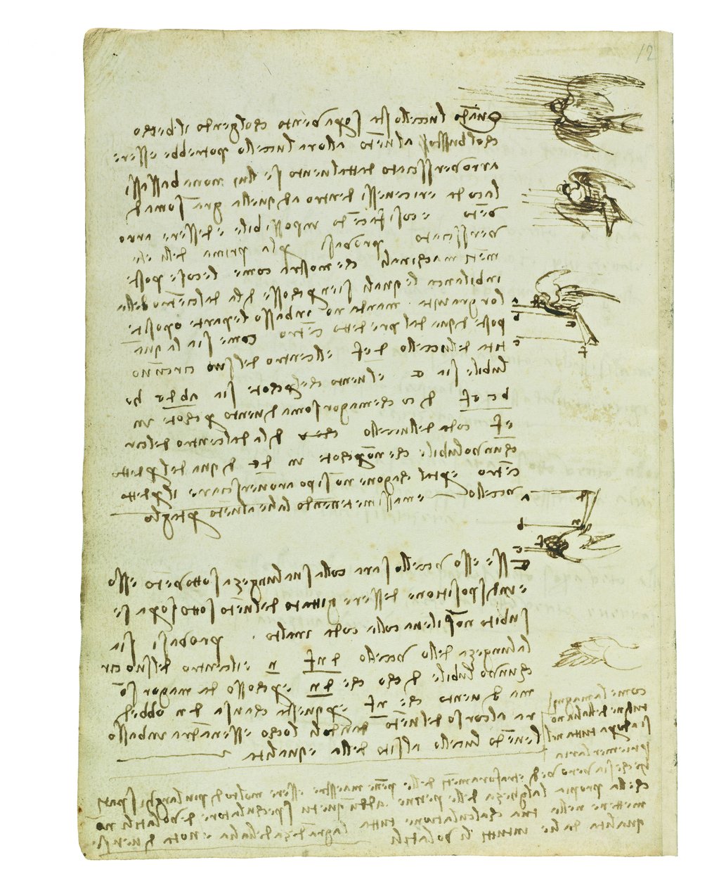 Codex on the flight of birds, Folio 8 verso av Leonardo da Vinci