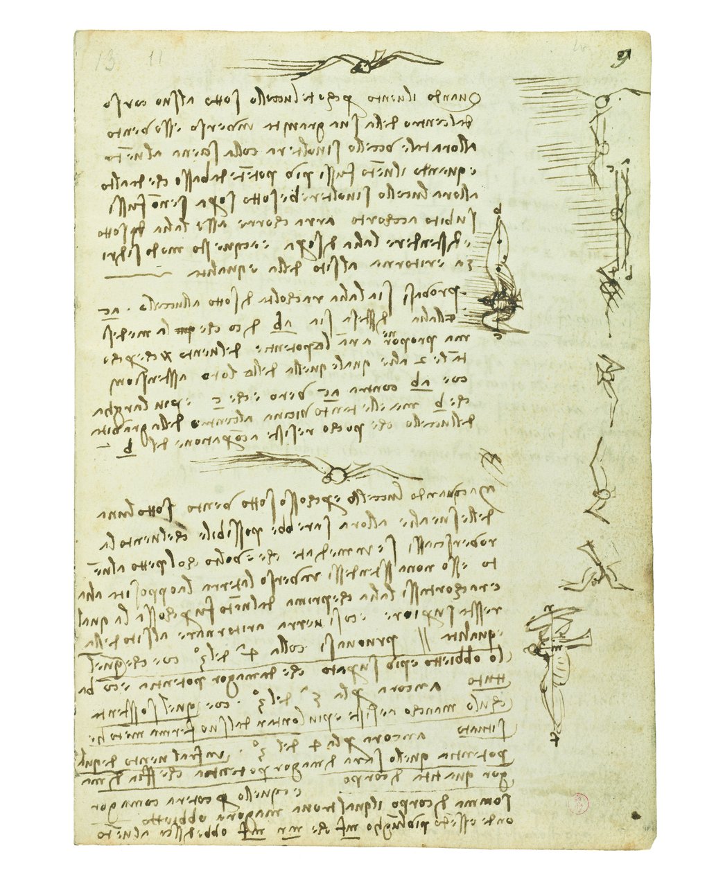 Codex on the flight of birds, Folio 9 recto av Leonardo da Vinci