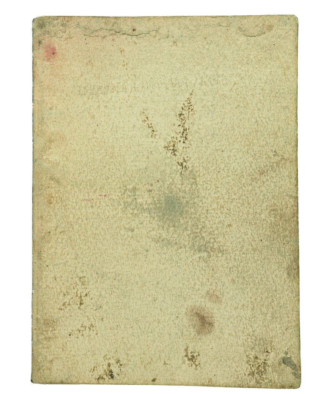 Kodeks om fuglenes flukt, sluttoppgave I av Leonardo da Vinci