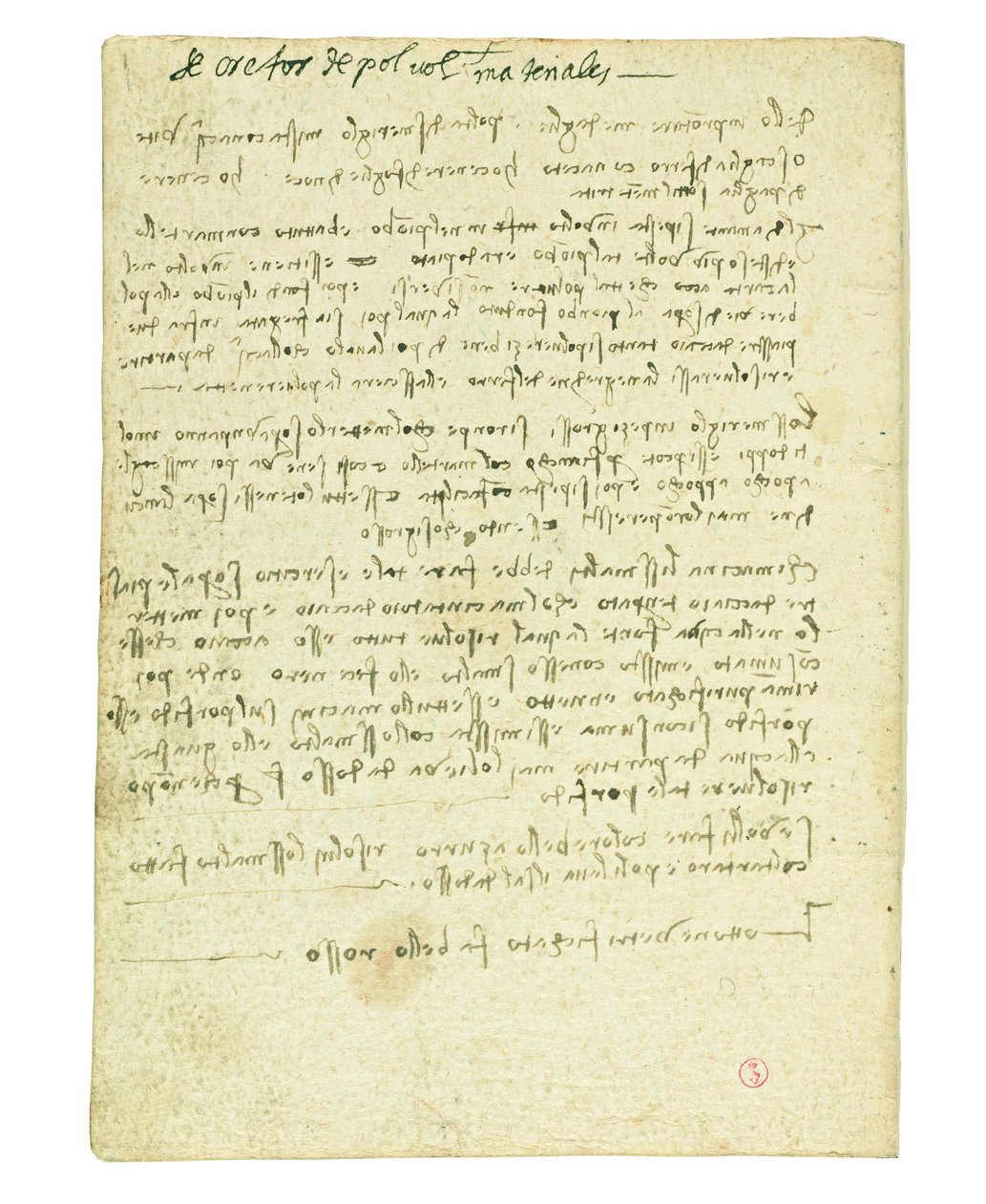 Kodeks om fuglenes flukt, sluttoppgave II av Leonardo da Vinci