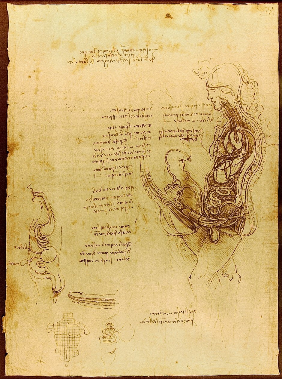 Coition of a Hemisected Man and Woman Luc Viatour av Leonardo da Vinci
