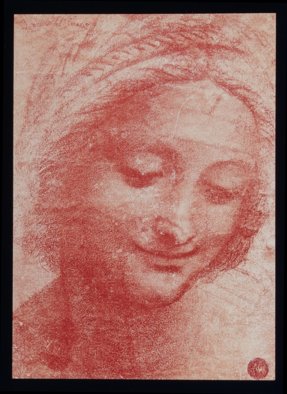 Head of a Woman (kull på papir) av Leonardo da Vinci