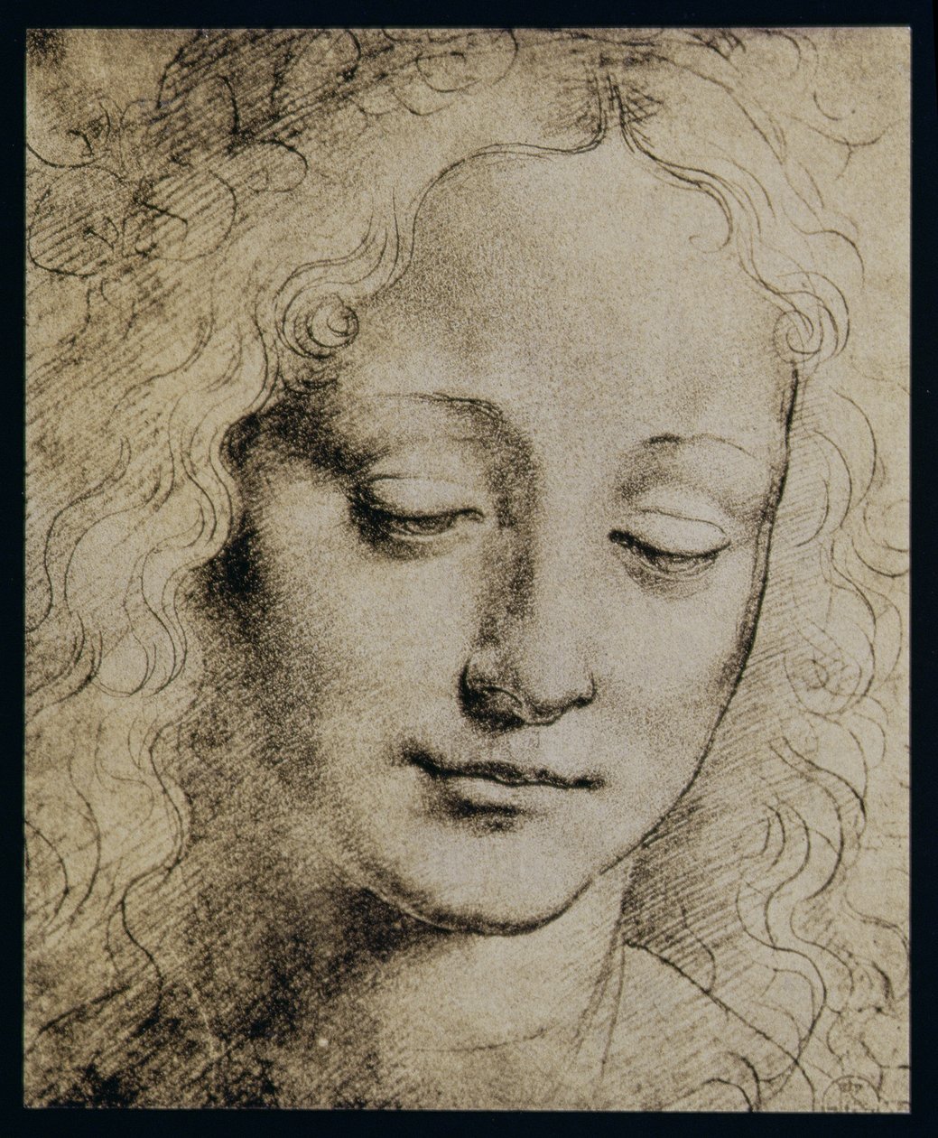 Leder av en ung jente av Leonardo da Vinci