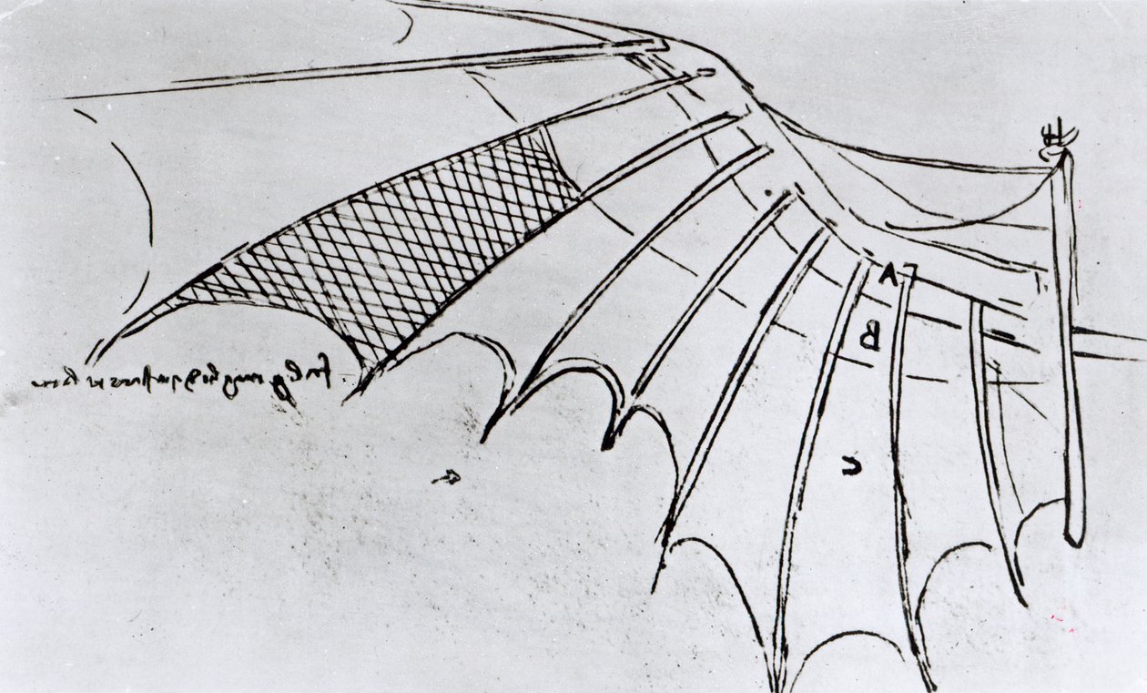 M S B 2173 fol. 74r Studier av vingeartikulasjon, 1487-90 av Leonardo da Vinci
