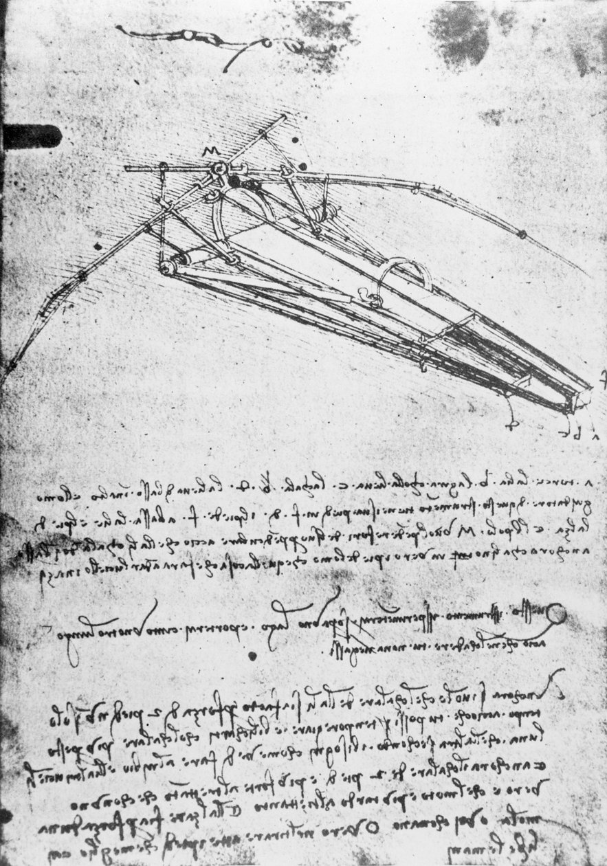 MS B 2173, folio 74v: Studie for en flygende maskin, 1487-1490 av Leonardo da Vinci