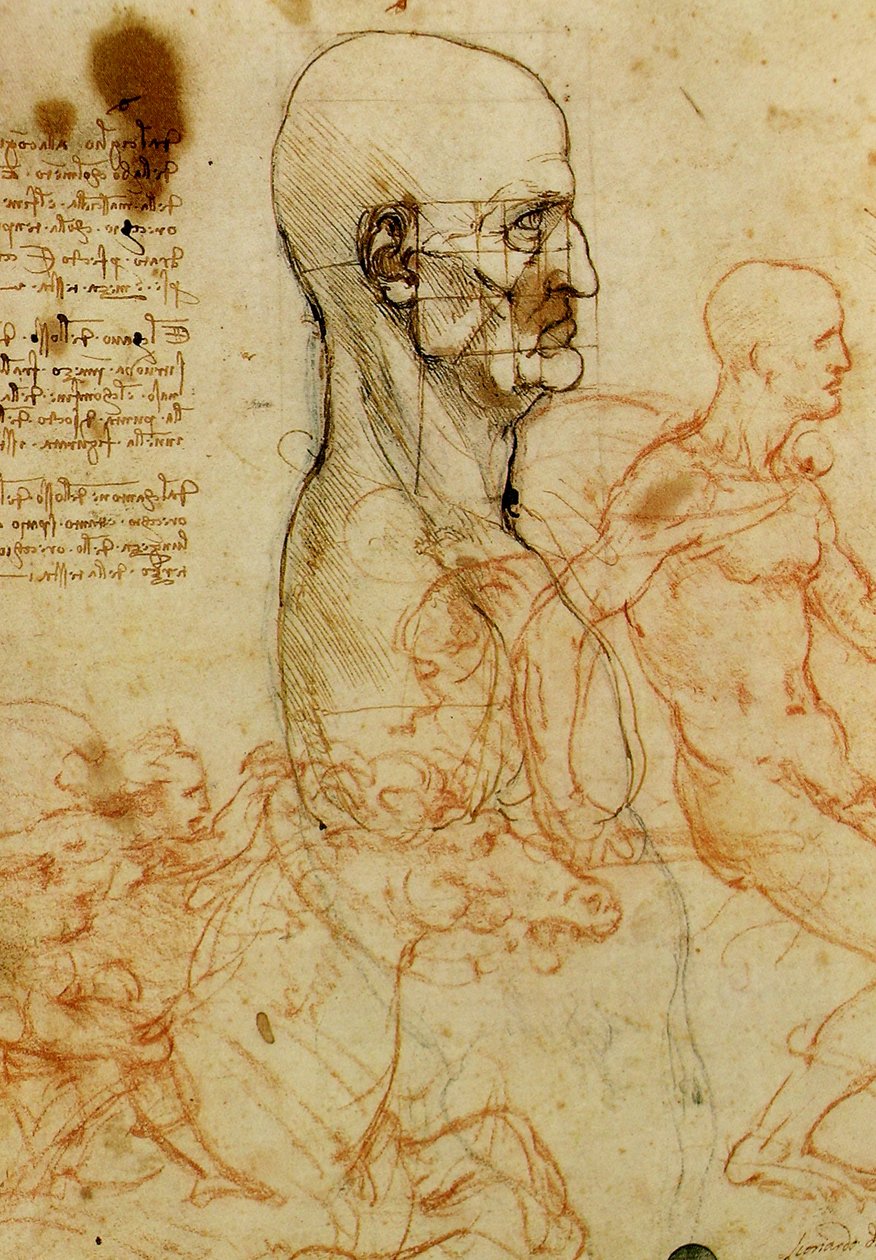 Mannlig hodestudie av Leonardo da Vinci