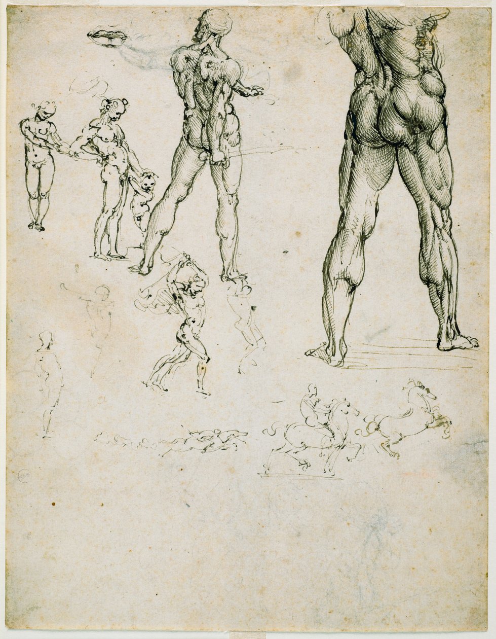 Nudi, for "Battle of Anghiari" og andre figurstudier, ca. 1505 (penn og brunt blekk, spor av kull på papir) av Leonardo da Vinci