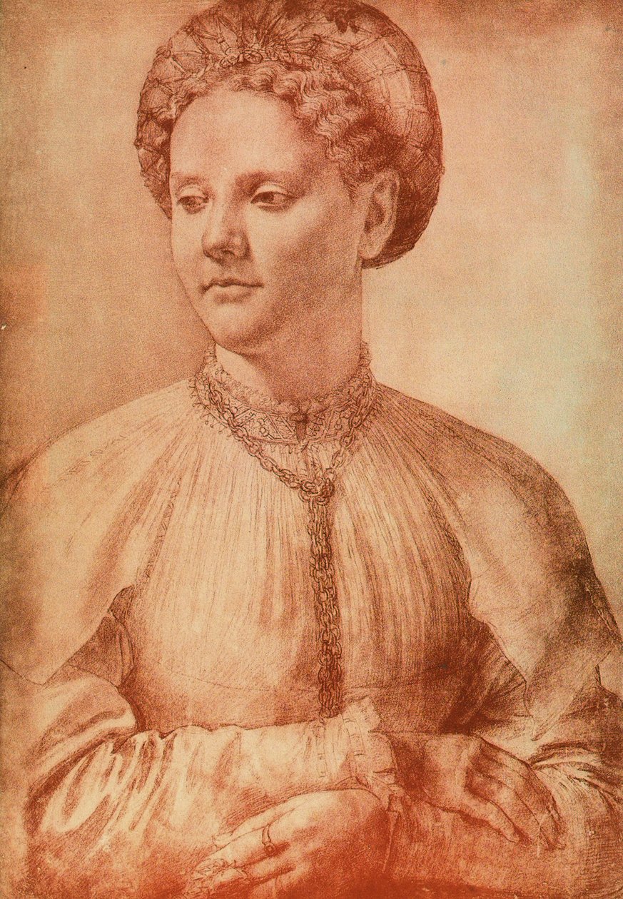 Portrett av en adelskvinne, tegning av Leonardo da Vinci. Cabinet of Drawings and Prints, Uffizi Gallery, Firenze av Leonardo da Vinci