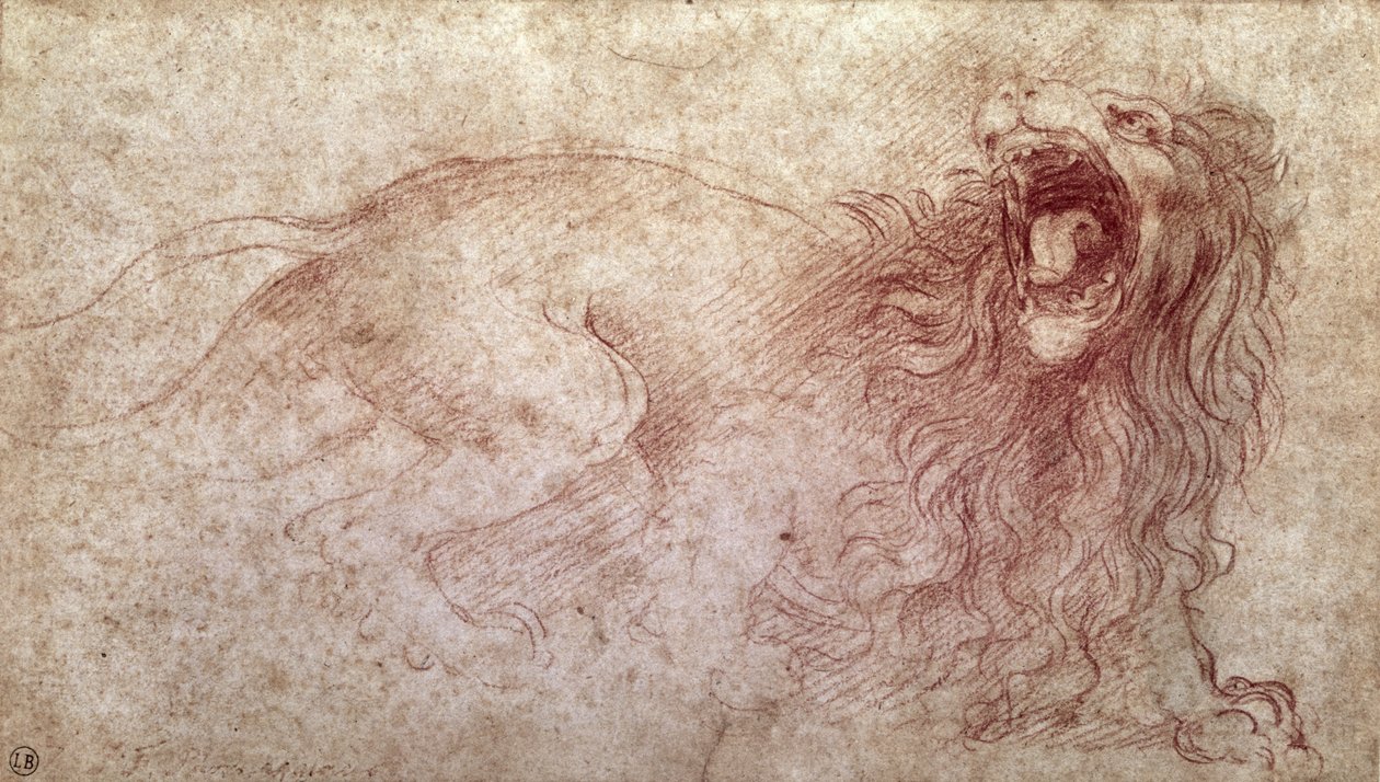 Skisse av en brølende løve (rødt kritt på papir) av Leonardo da Vinci
