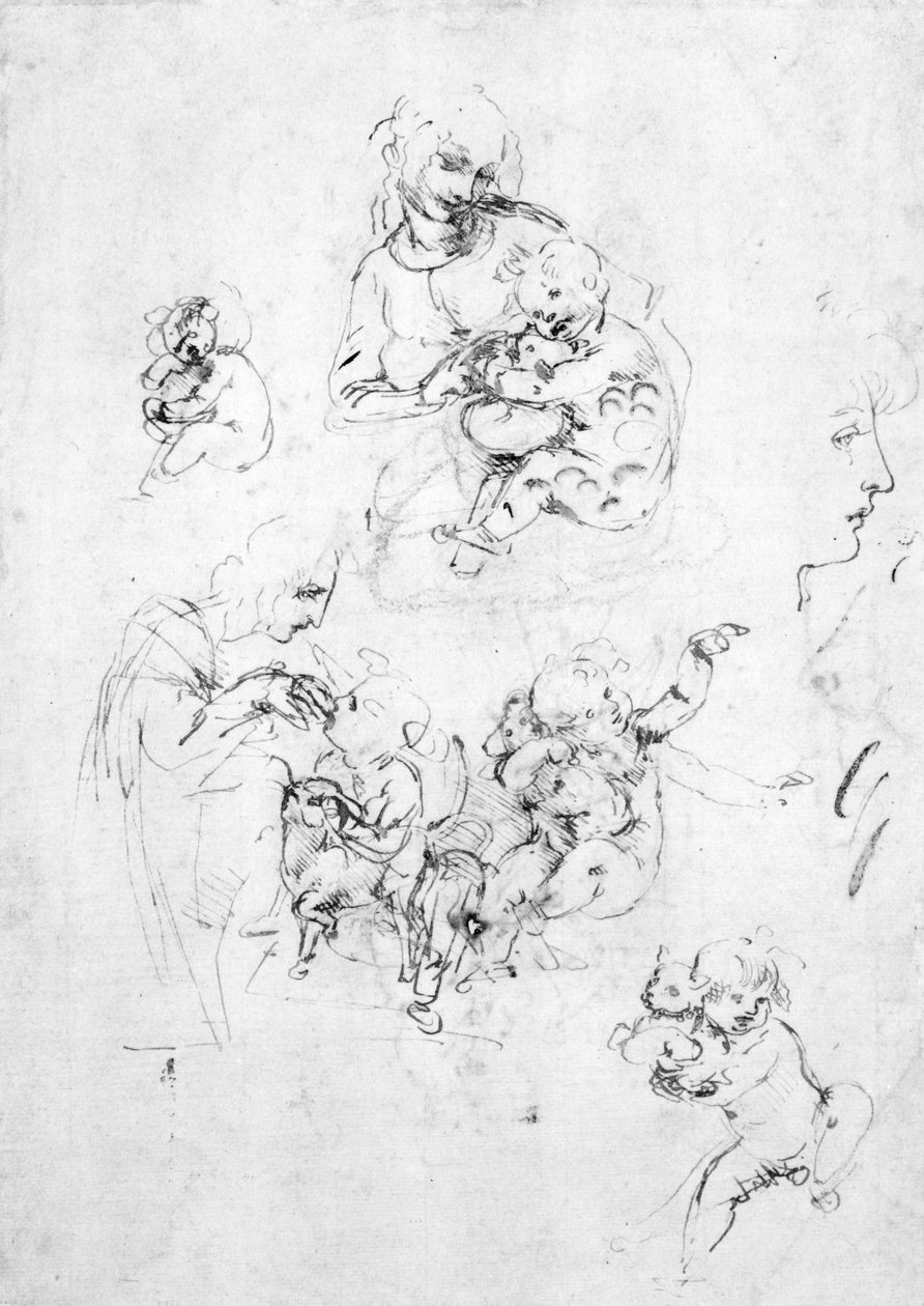 Studier for en Madonna med en katt, ca. 1478-80 (penn og blekk over svart kritt på papir) av Leonardo da Vinci