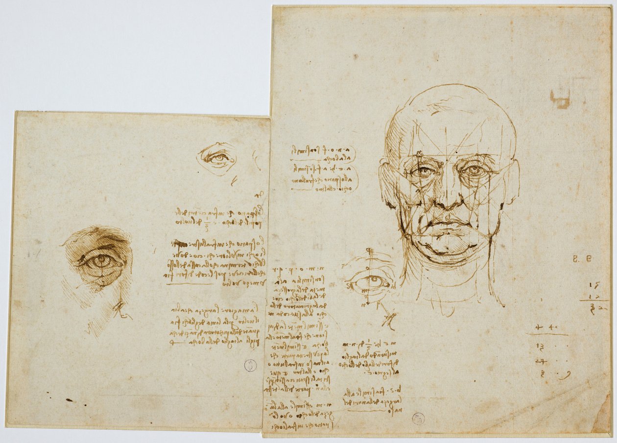 Studier av proporsjoner av ansikt og øye (med notater), c. 1489-90 (metallisk spiss, penn og brunt blekk på papir) av Leonardo da Vinci
