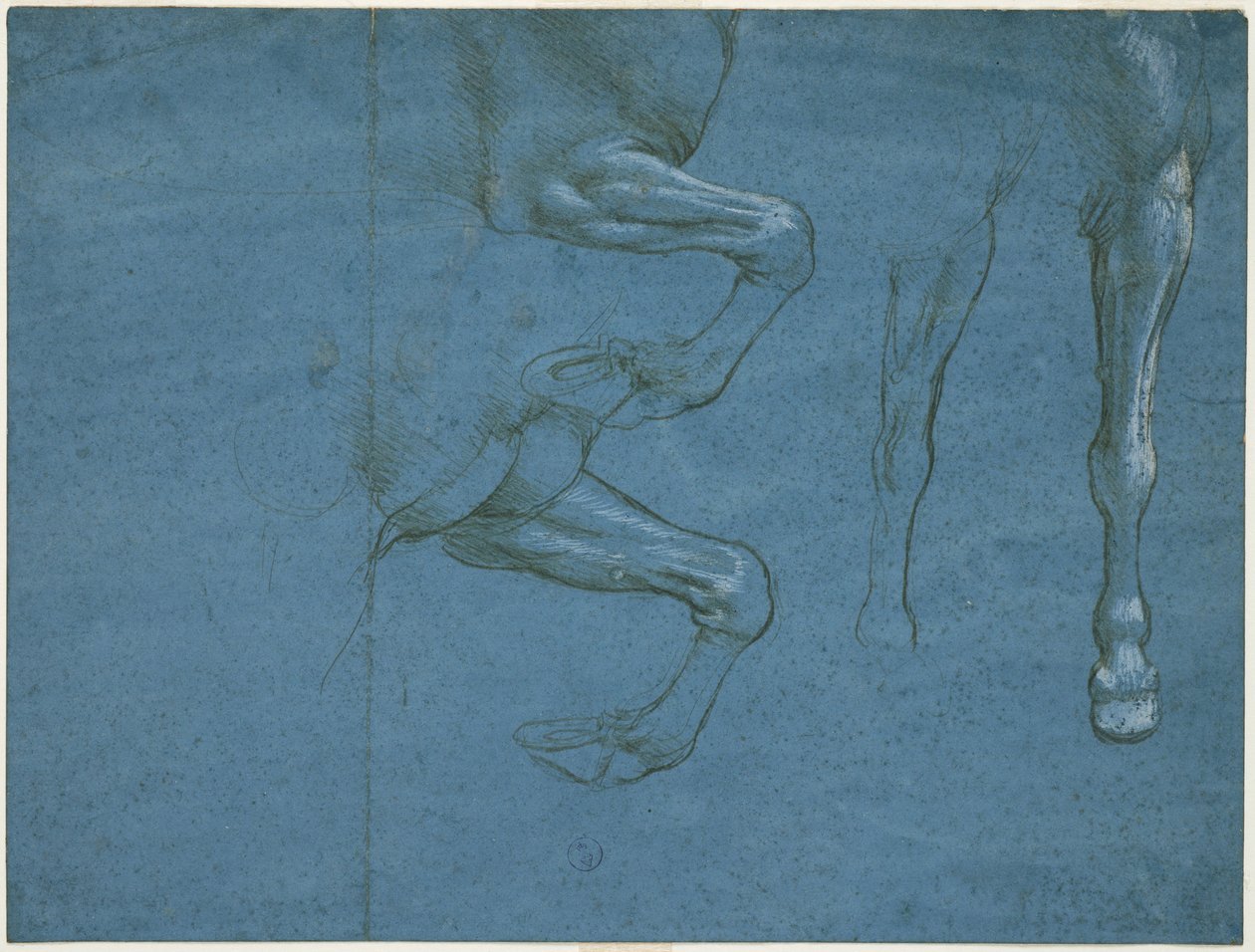 Studier av hestens forlemmer, ca. 1490 (metallisk spiss og kalk på blått forberedt papir) av Leonardo da Vinci