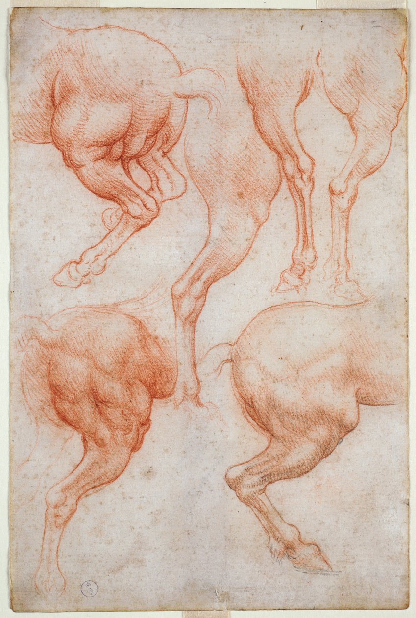 Studier av hestens baklemmer, ca. 1508 (blod med innslag av svart blyant på papir) av Leonardo da Vinci
