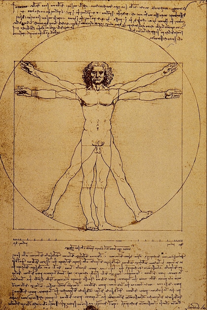 Studie av menneskekroppen av Leonardo da Vinci