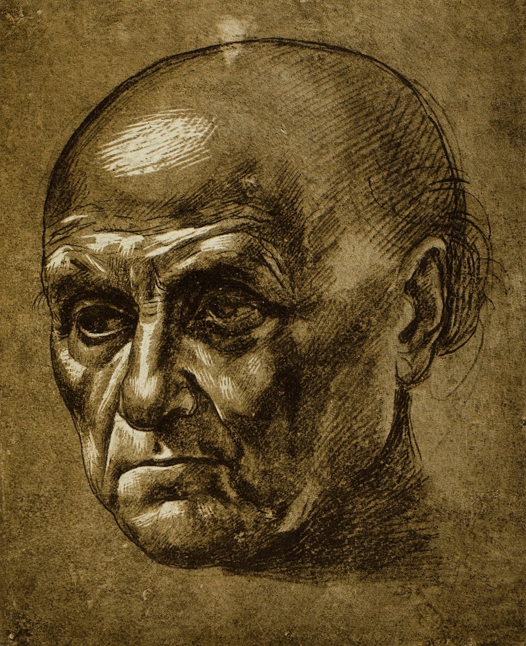 Studie av et mannlig ansikt; tegning av Leonardo da Vinci. Louvre, Paris av Leonardo da Vinci