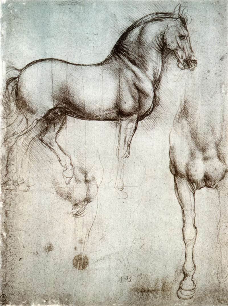 Studie av hester av Leonardo da Vinci