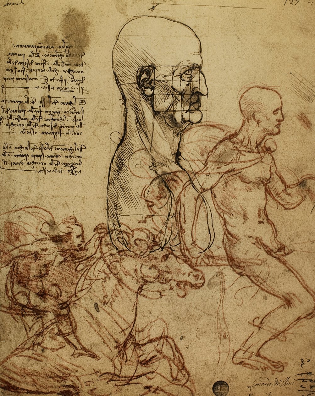 Studie av menneskelig fysiognomi og ryttere for maleriet av slaget ved Anghiari; tegning av Leonardo da Vinci. Gallerie dellAccademia, Venezia av Leonardo da Vinci