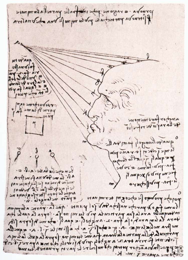 Studie av lysets effekt på et profilhode av Leonardo da Vinci