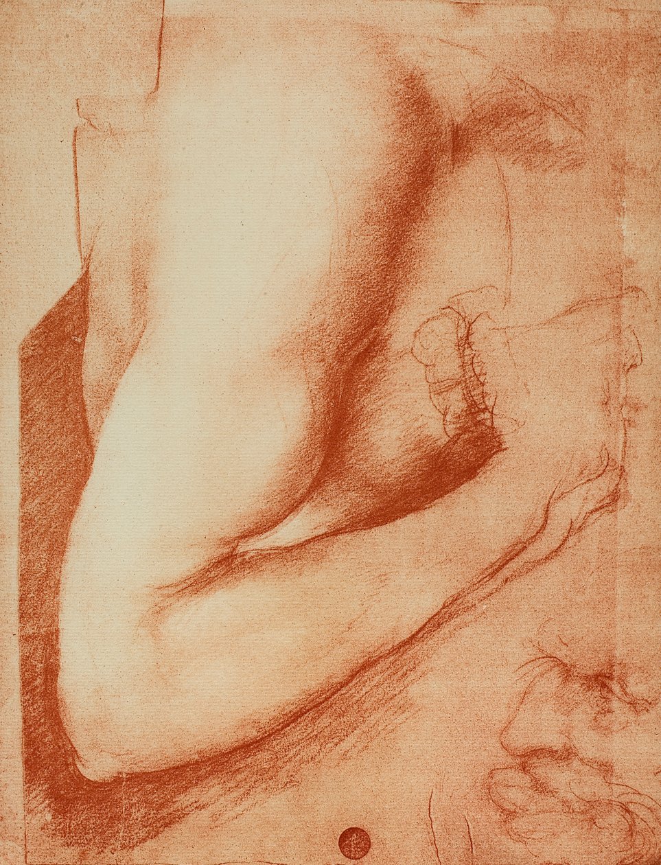Studie av en arm, tegning av Leonardo da Vinci. Gallerie dell