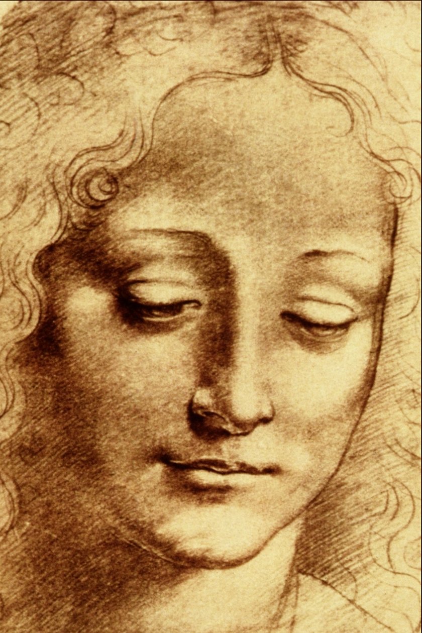 Hodene til Giovinetta av Leonardo da Vinci