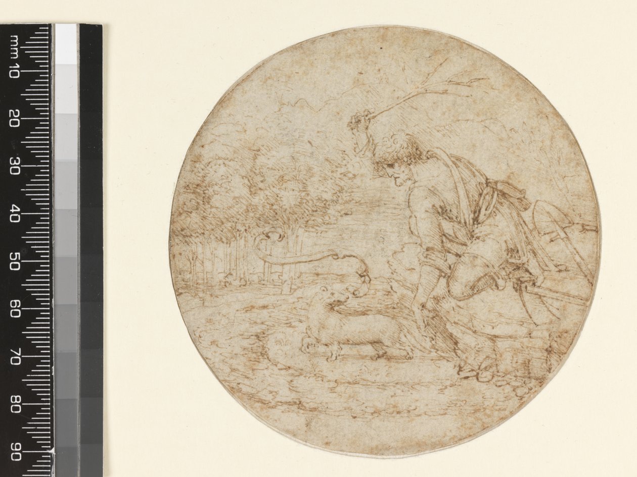 Hermelinen som et symbol på renhet, ca. 1494 (penn og brunt blekk over svart på papir) av Leonardo da Vinci