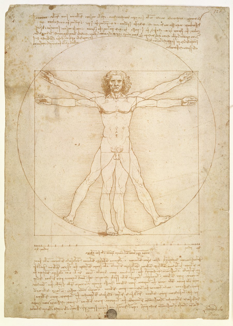 Proporsjonene til den menneskelige figuren (etter Vitruvius), ca. 1492 av Leonardo da Vinci