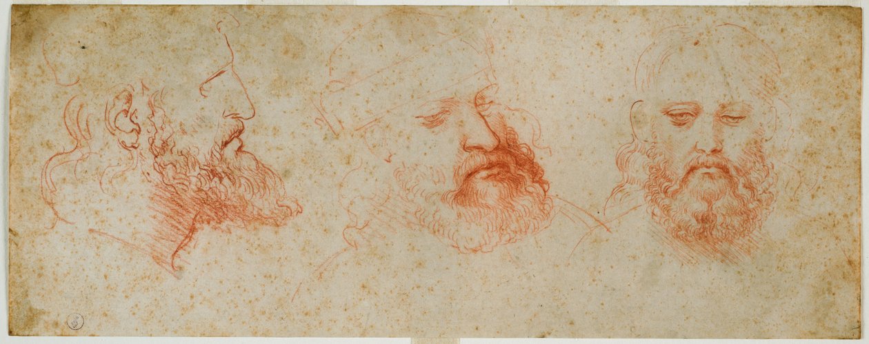Tre visninger av mandig hode med skjegg, ca. 1502 (blod på papir) av Leonardo da Vinci