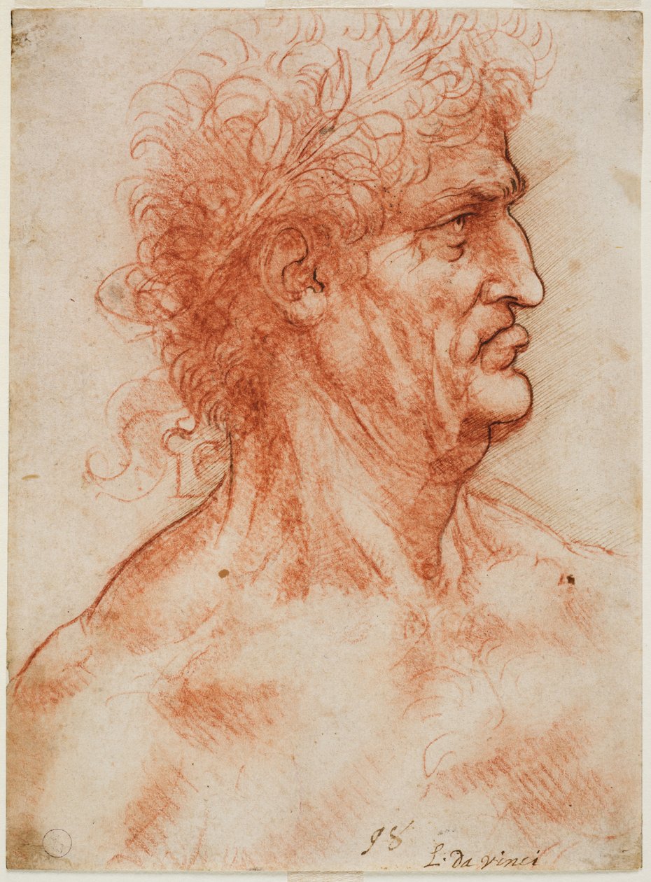 Virilt profilhode kronet med laurbær, ca. 1506-10 (blod med konturer krysset igjen i penn på hvitt papir) av Leonardo da Vinci