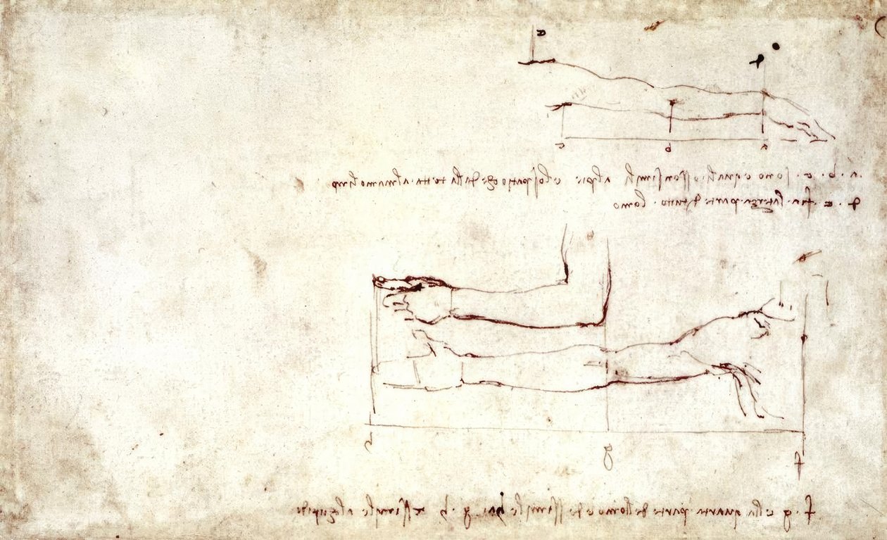 væpne av Leonardo da Vinci
