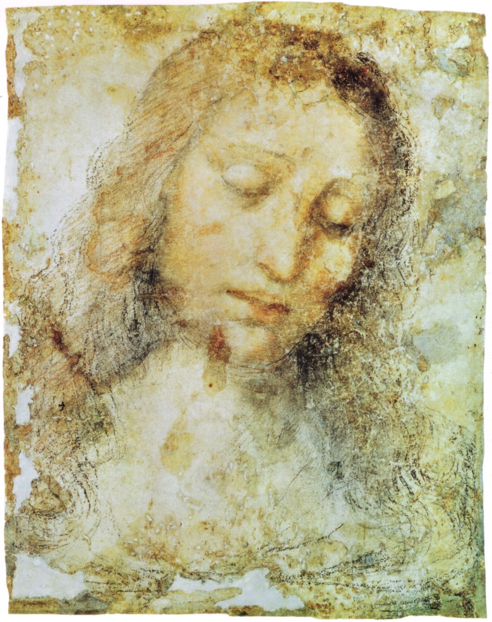 Breras bildegalleri av Leonardo da Vinci