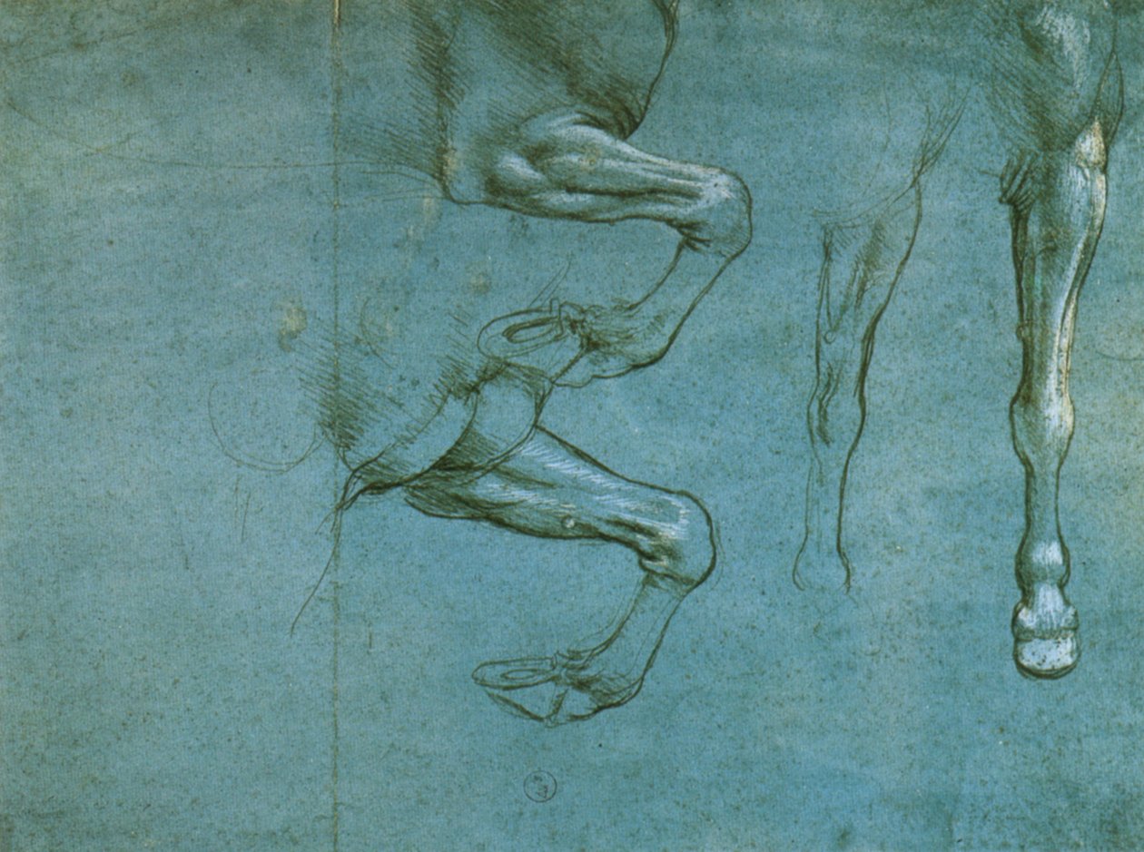 studie av forbena til en hest av Leonardo da Vinci