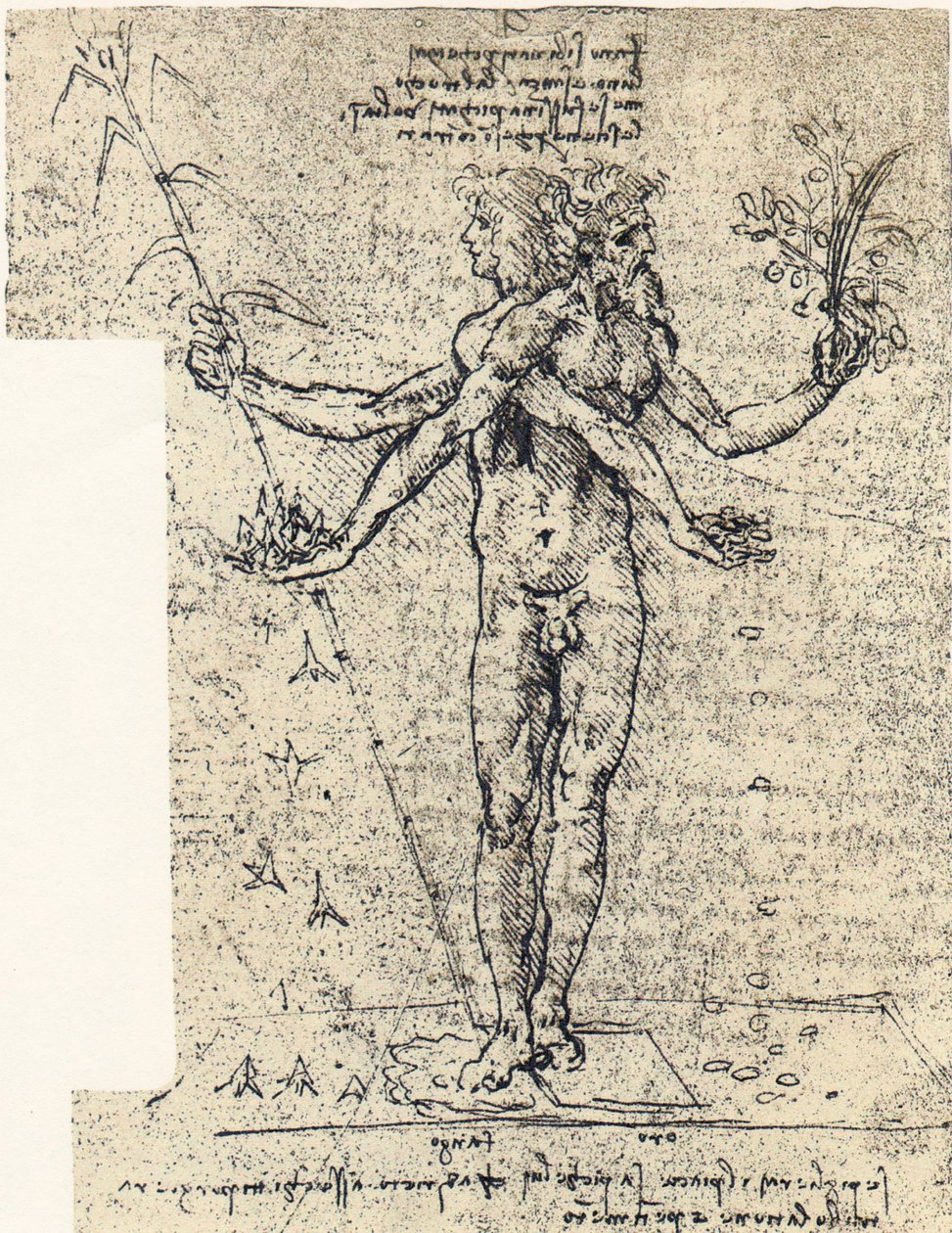 ukjent tegning av androgyn corpus med to hoder av Leonardo da Vinci