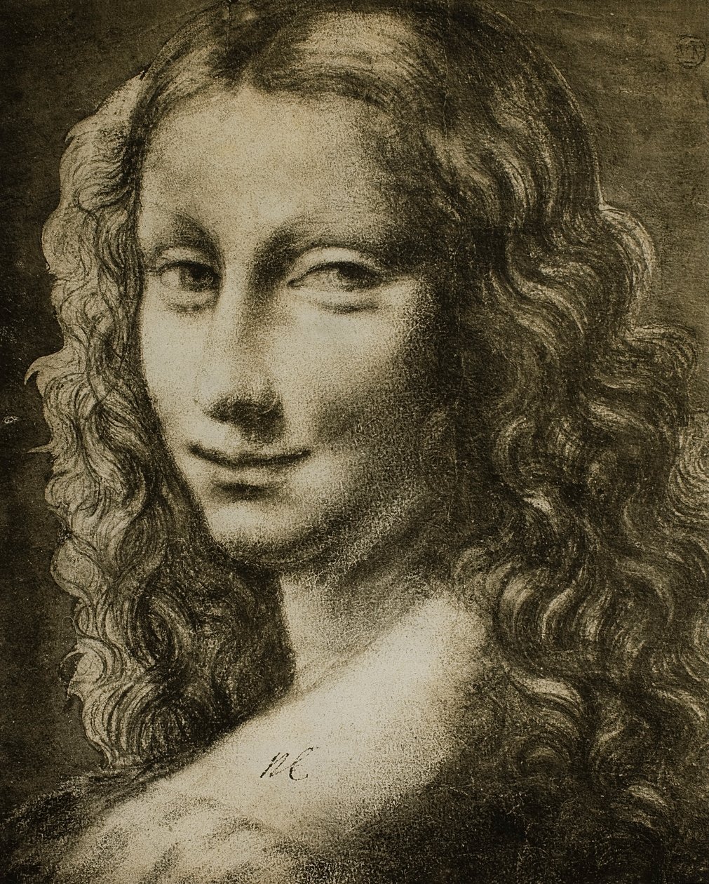 Portrett av en kvinne; tegning fra skolen til Leonardo. Louvre, Paris av Leonardo da school of Vinci