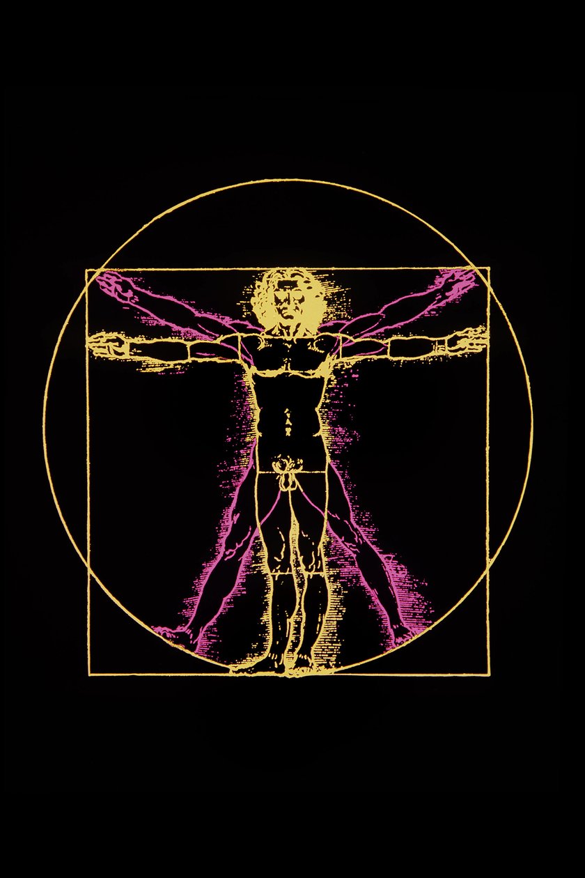 Vitruvian Man av Leonardo da Vinci, ca. 1970 av Leonardo da (after) Vinci