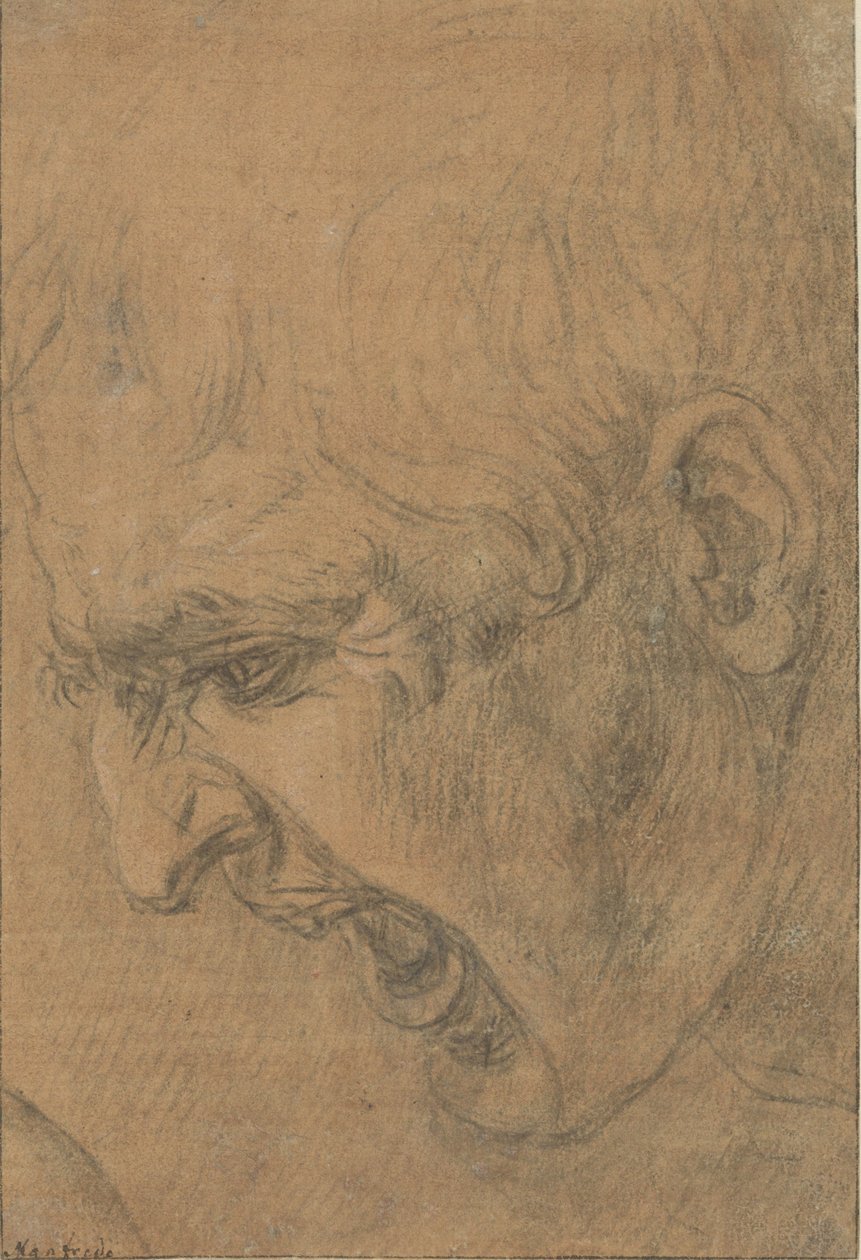 Hodet til en skrikende mann av Leonardo da Vinci (follower of)