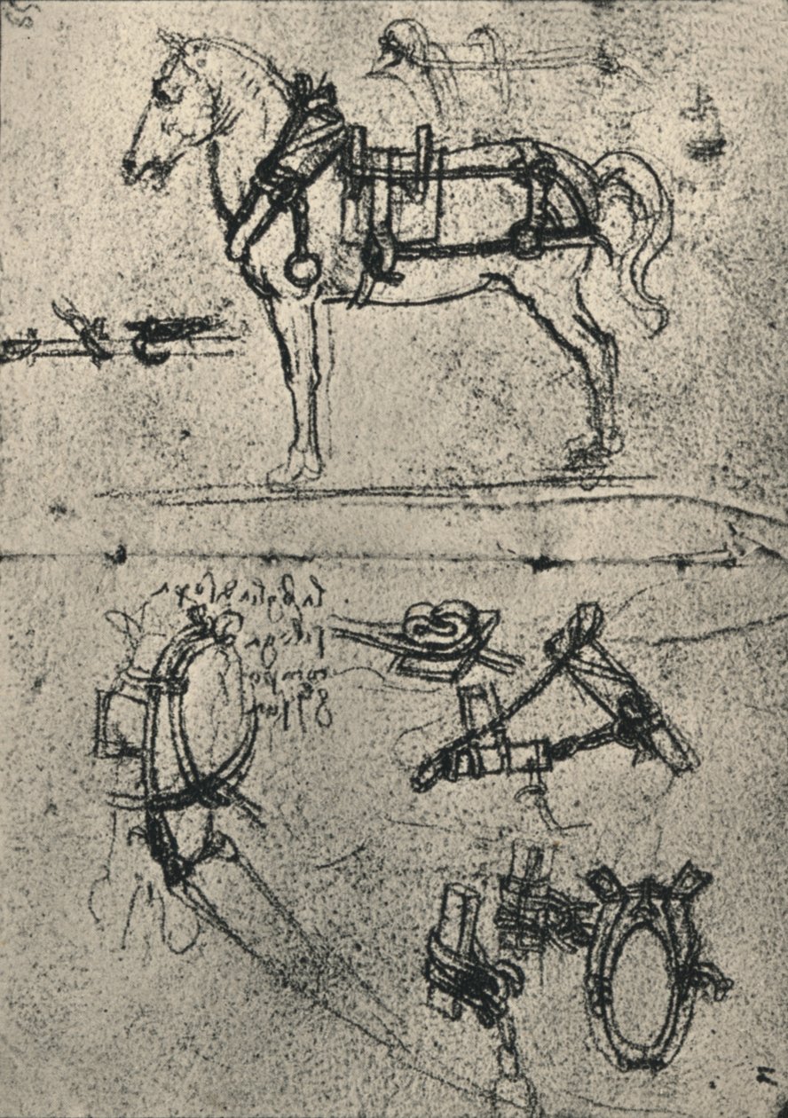 A Harnessed Cart-Horse and Studies of Sele, c1480 1945 av Leonardo da Vinci