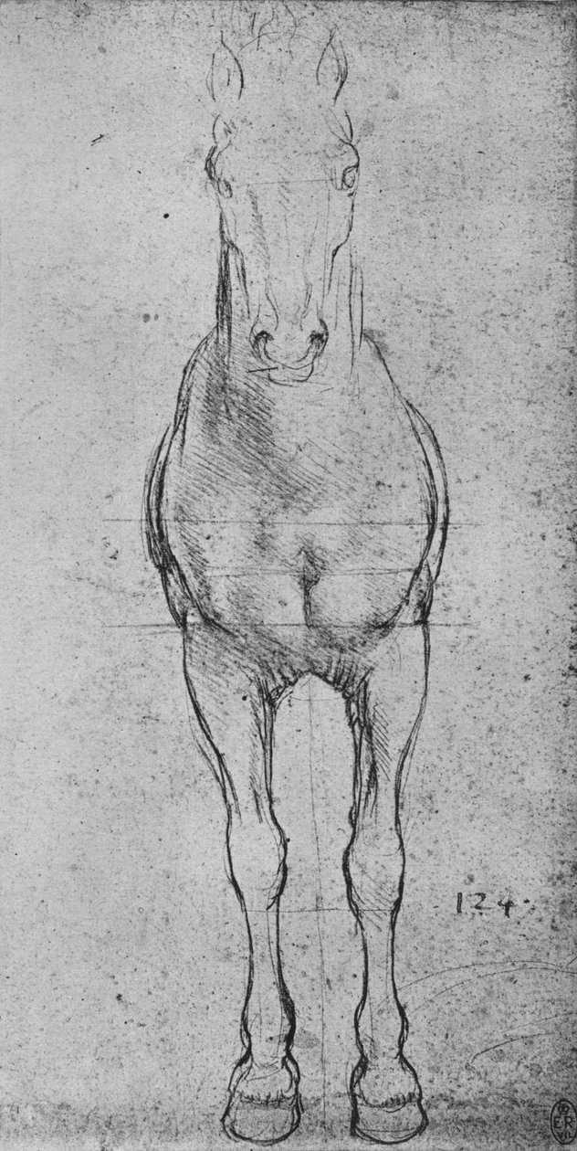 En hest sett fra forsiden, c1480 1945 av Leonardo da Vinci