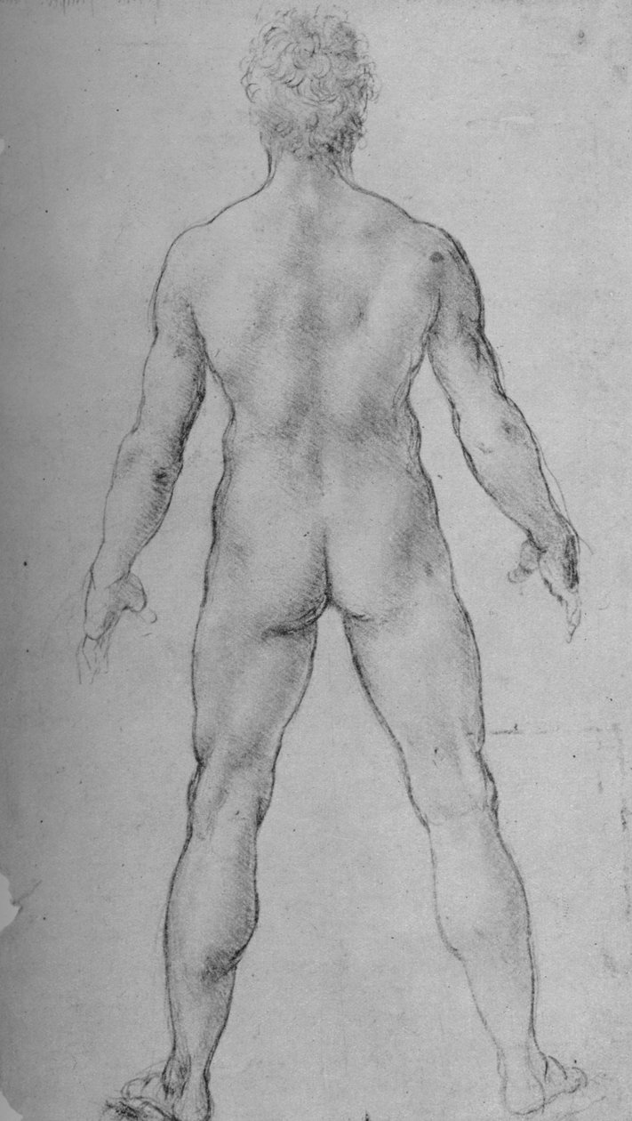 En naken mann sett fra baksiden, c1480 1945 av Leonardo da Vinci