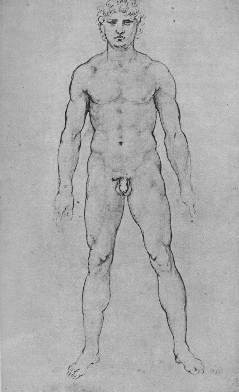 En naken mann sett fra fronten, c1480 1945 av Leonardo da Vinci