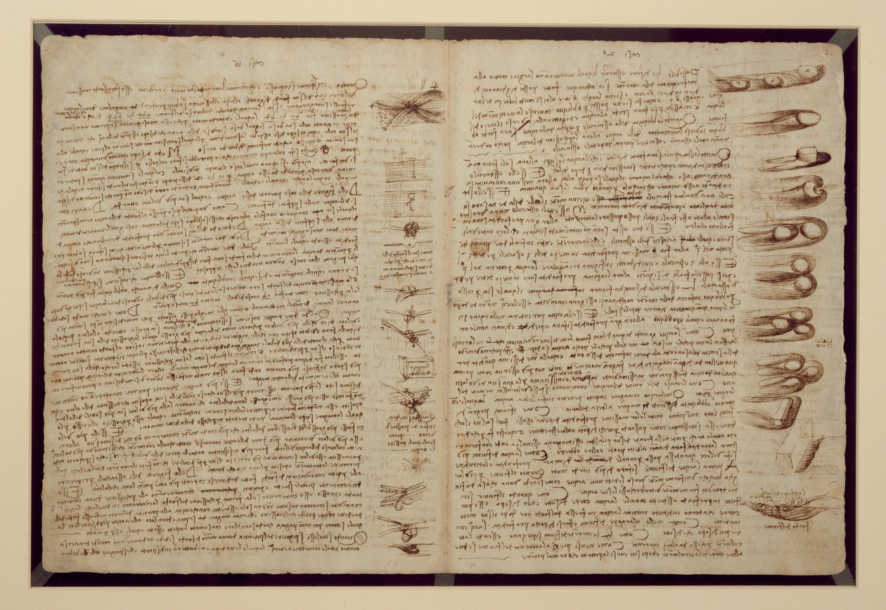 En side fra Codex Leicester, 1508-12 (sepia blekk på linpapir) av Leonardo da Vinci