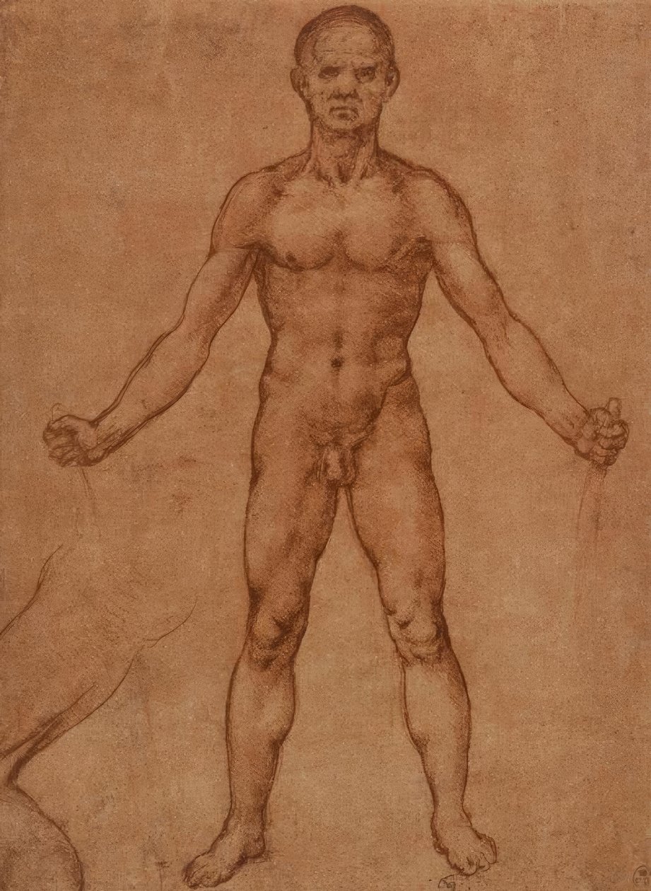 Nakenstudie av en stående mann, frontal av Leonardo da Vinci