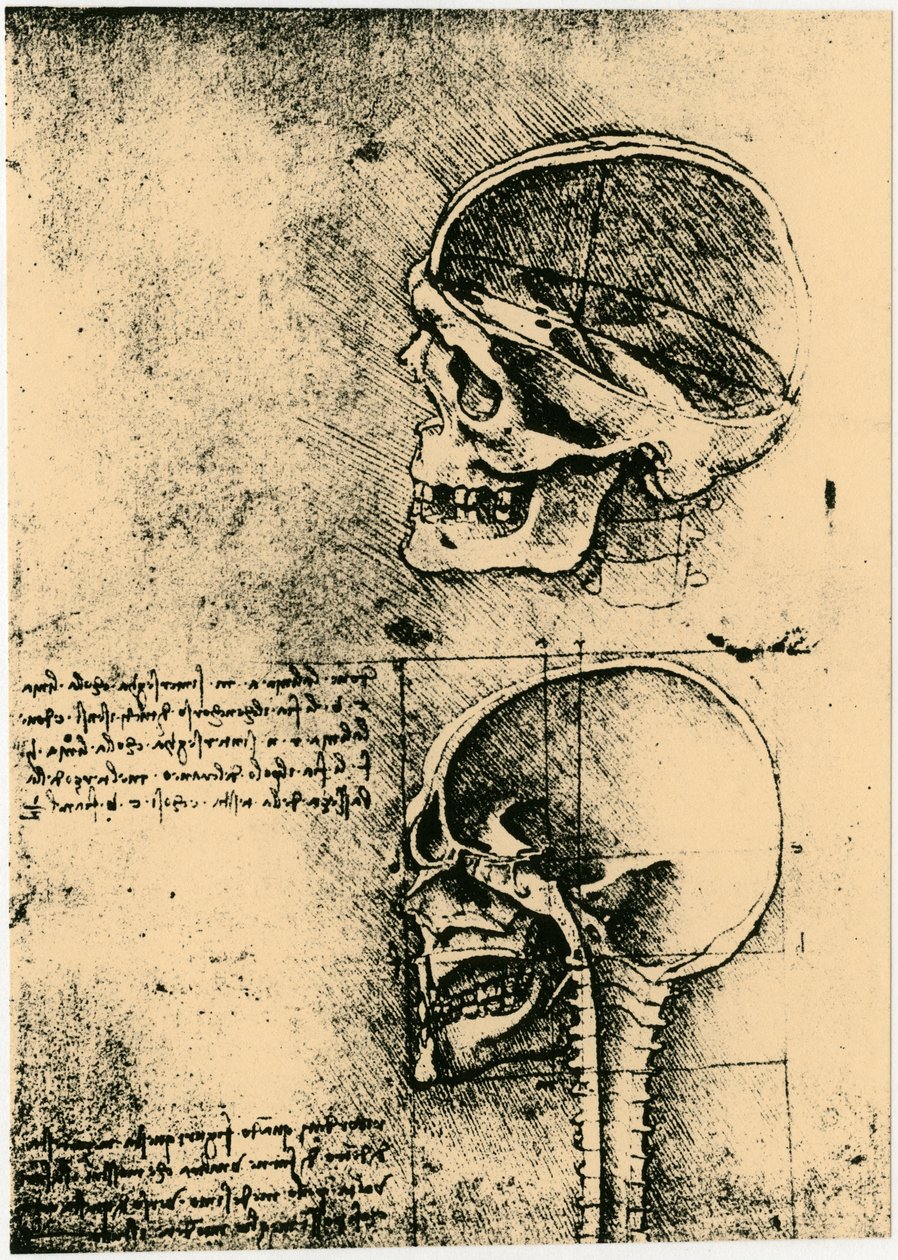 Anatomisk skisse, to studier av en menneskeskalle, c1489 av Leonardo da Vinci