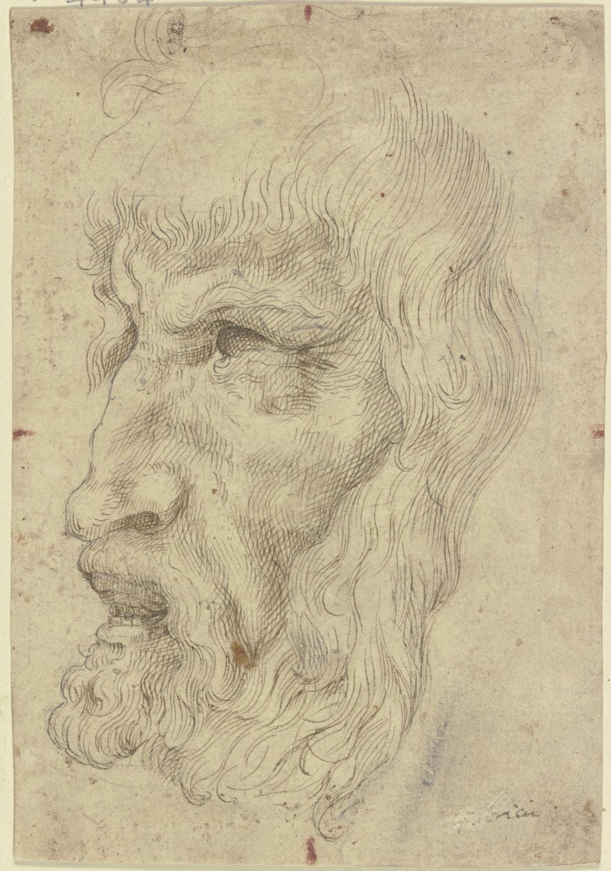 Antikke masker til venstre av Leonardo da Vinci